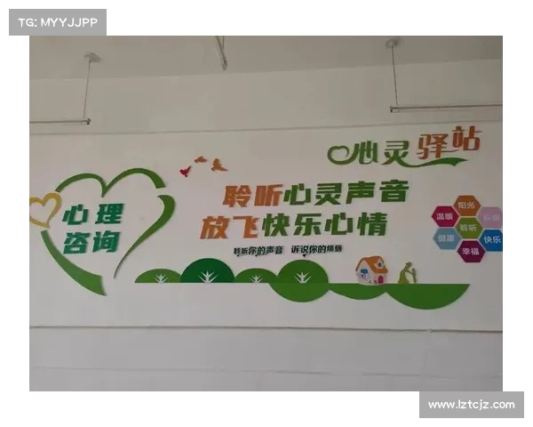 足球公益进藏区高原球场点燃青少年梦想助力青少年成长与未来